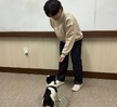 2023.11.24  반려동물기초훈련