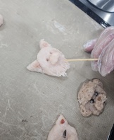 <2주차>반려동물수제간식