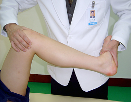 슬관절 굴곡, 외회전 반월판 검사