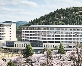 특급호텔 조기취업 확정