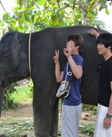 해외현장견학(SAP)6